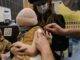 Pediatri, 'morbillo e pertosse sorvegliati speciali, vaccino salva-vita'