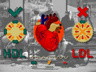 Avere il colesterolo buono alto non protegge il cuore, lo studio 