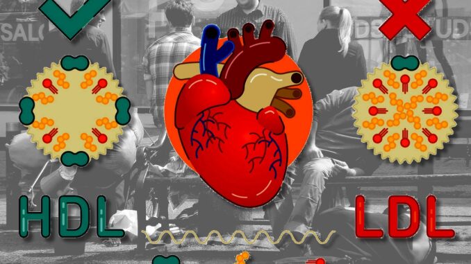 Avere il colesterolo buono alto non protegge il cuore, lo studio 