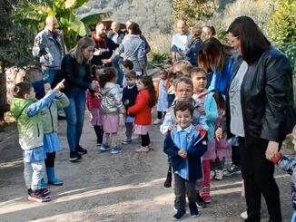 La raccolta delle olive uscita didattica scuola infanzia Casaglia