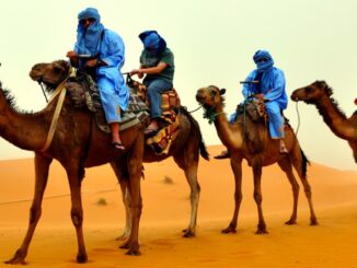 Immunologo Minelli, 'Mers dal Qatar? Rischio minimo, no psicosi'