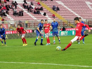 Stadio curi