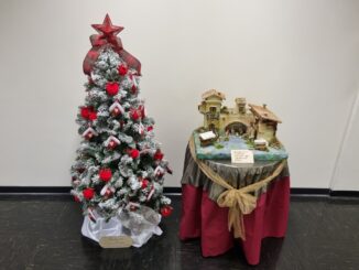 Terni, albero di Natale donato all'ospedale