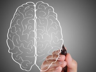 Ricerca: così prendiamo le decisioni, nel cervello le cellule 'leader'