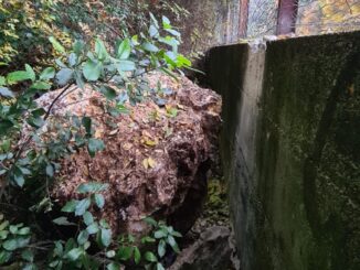 Cadono massi sulla SS Tiberina 3 Ter, pericolo, chiusa strada
