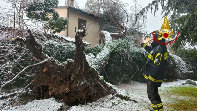 Alberi schiantati, rami pericolanti, vigili del fuoco senza tregua