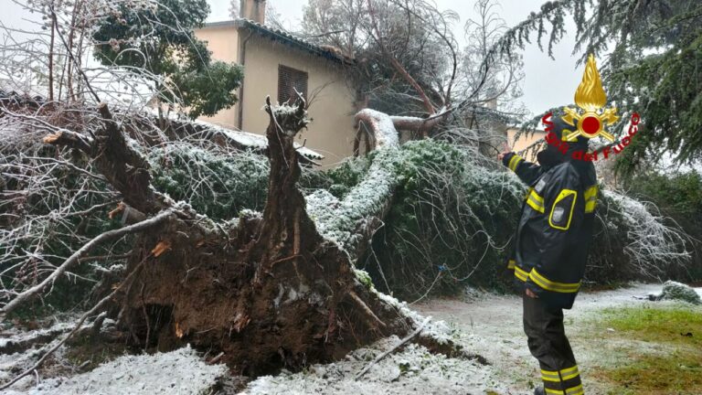 Alberi schiantati, rami pericolanti, vigili del fuoco senza tregua