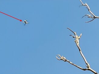 Drone spia una donna a Sterpeto di Assisi: " Vado dai carabinieri e li denuncio"