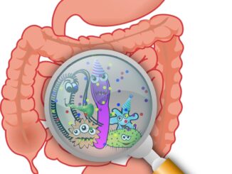 Salute, 'corrono virus intestinali, mamme e papà più colpiti' 