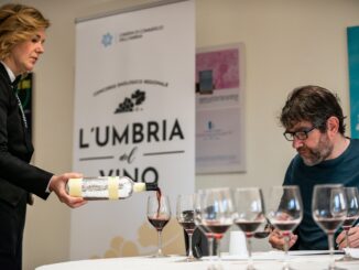 L’Umbria del vino annunciate 17 cantine vincitrici seconda edizione