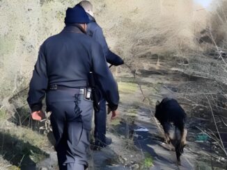 Cani ed elicottero, carabinieri a caccia di fuggitivi irregolari, catturati e ora via dall'Italia!
