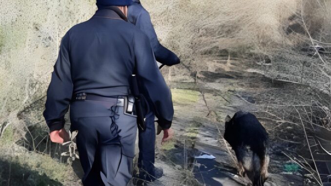 Cani ed elicottero, carabinieri a caccia di fuggitivi irregolari, catturati e ora via dall'Italia!