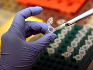 Aids alto paziente guarito da Hiv dopo trapianto staminali 