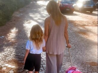 Minacce a Giorgia Meloni e alla figlia, denunciato perugino di 45 anni