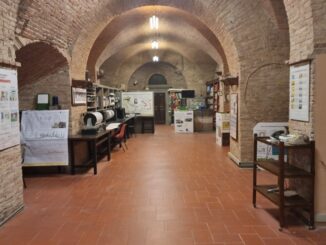 In Umbria torna l'incubo terremoto, ma nessun danno