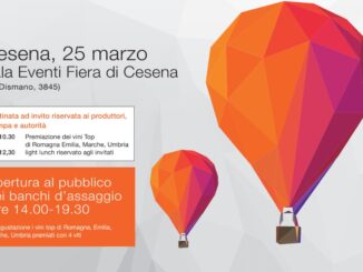 Esperienze di Vitae top wine Centro Italia, Ais in Fiera a Cesena