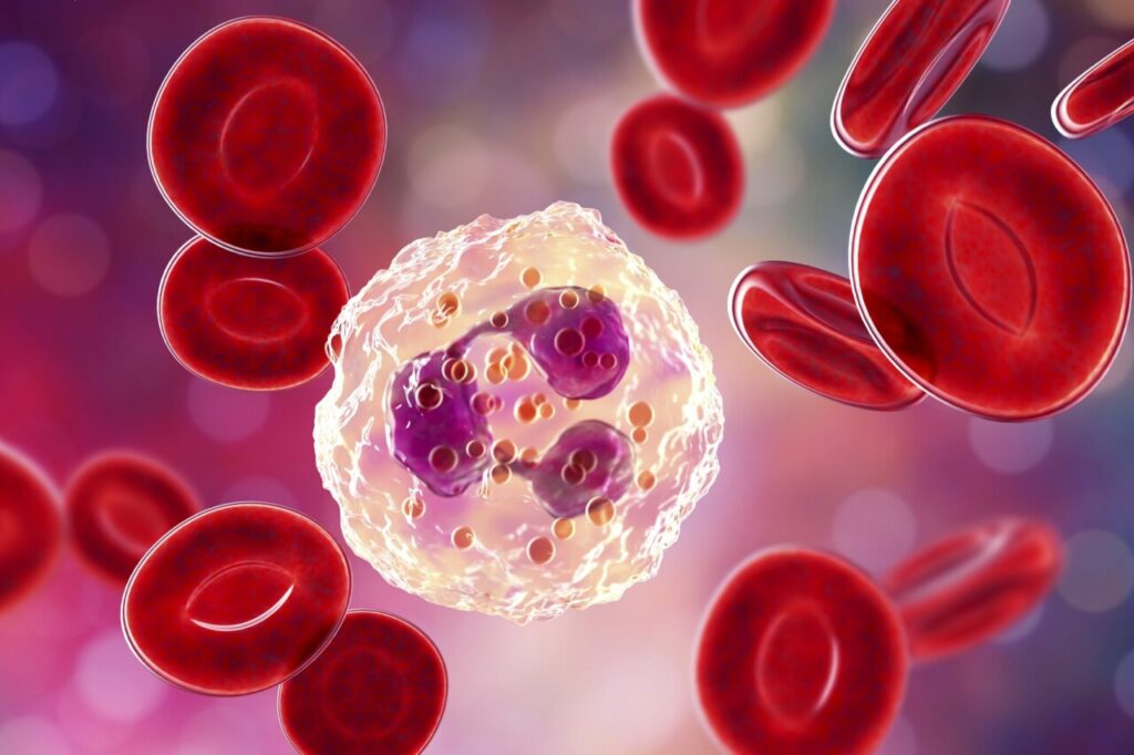 Tumori scoperto ruolo bifronte neutrofili, efficacia immunoterapia