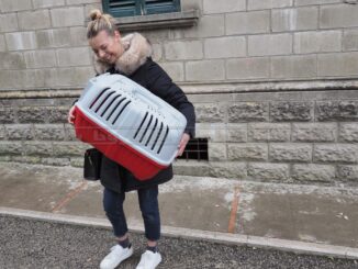 Supporto psicologico per le popolazioni colpite dal terremoto