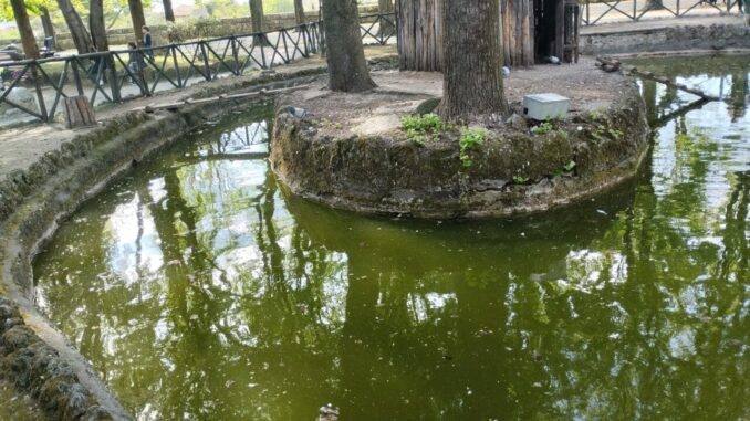 Cari candidati di Terni venite a vedere lo schifo al laghetto della Passeggiata