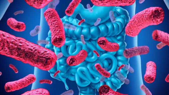 Tumori, tra cause considerare anche alterazioni microbiota