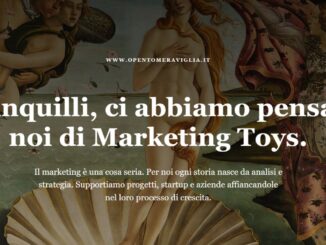 Azienda compra a 4,99 euro il dominio 'Open to meraviglia'