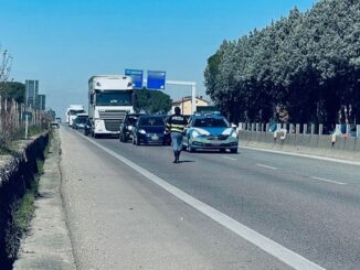 Investe animale selvatico e resta in panne sulla E45 e rimane ferita