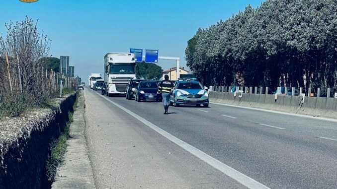 Investe animale selvatico e resta in panne sulla E45 e rimane ferita