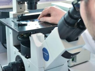 SM15, molecola inibisce processo autofagia cellulare nel cancro