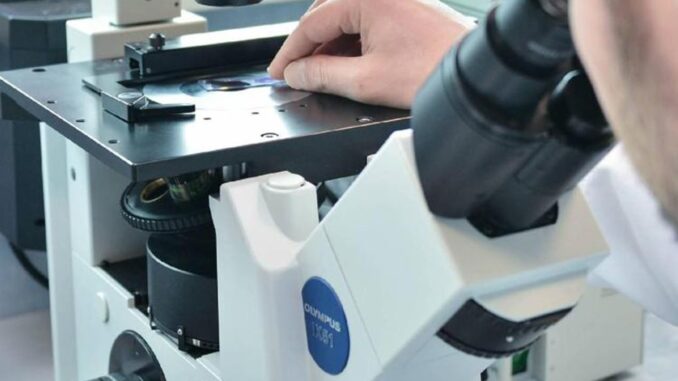 SM15, molecola inibisce processo autofagia cellulare nel cancro