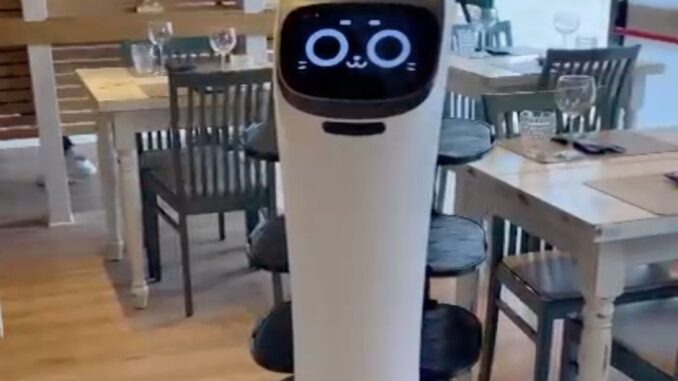Non si trovano camerieri e a un ristorante di Todi ci pensa un robot, si chiama Bella-Bot