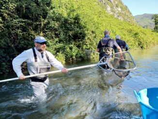 Legambiente il bacino idrografico del fiume Nera è in salute