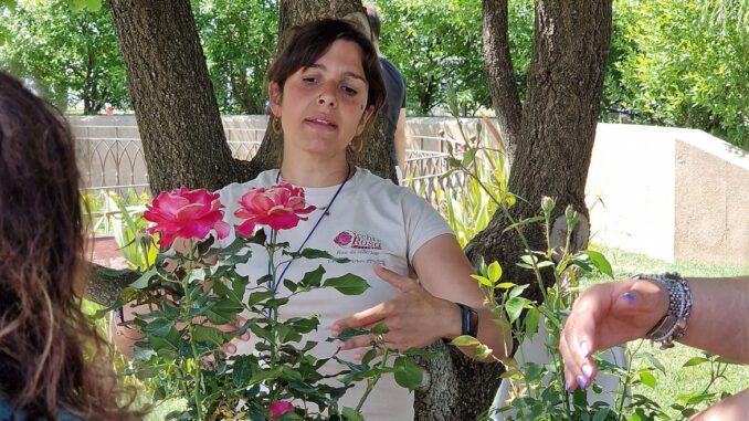 Perugia Flower Show piante rare ed inconsuete al Barton Park