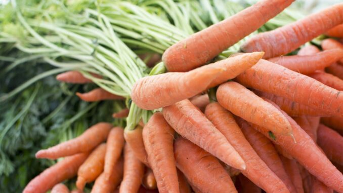 Agricoltura sociale e Fattorie sociali, Regione approva disegno di legge
