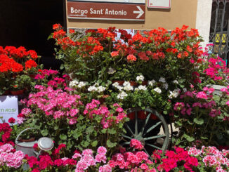 Festa di primavera, il 20 maggio appuntamento a Borgo Sant’Antonio