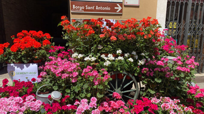 Festa di primavera, il 20 maggio appuntamento a Borgo Sant’Antonio