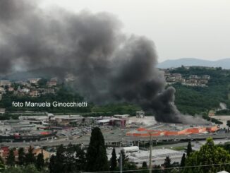 Ipotesi innesco accidentale per incendio capannone a Ellera