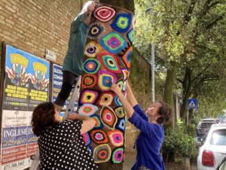 Rubate anche le decorazioni sugli alberi a Borgo XX Giugno