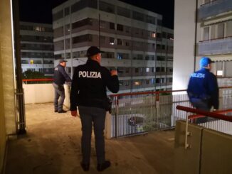 Chiamato per revisionare l'antenna, scopre due piante di marijuana nel sottotetto