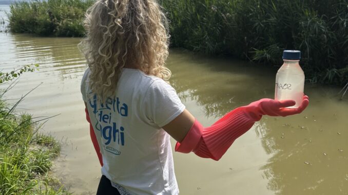 Lago Trasimeno fortemente inquinato alla foce del torrente Paganico a Castiglione del Lago