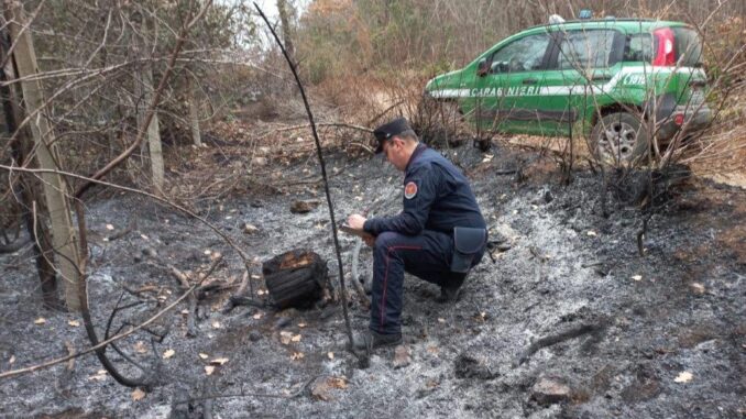 Carabinieri Forestali in prima linea per fronteggiare gli incendi
