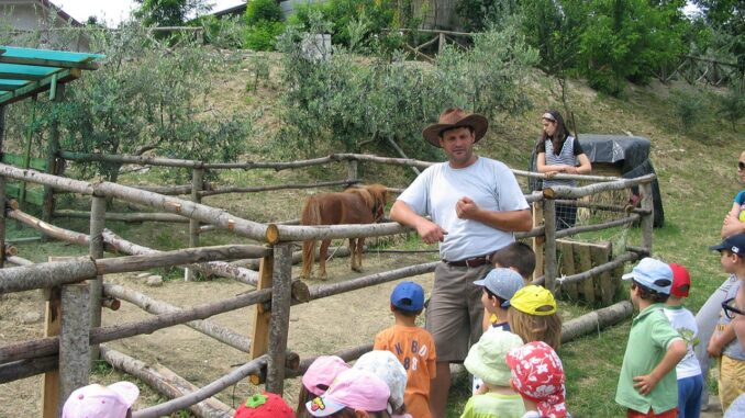 Fattorie didattiche esperienza vera mondo agricolo da vivere in Umbria