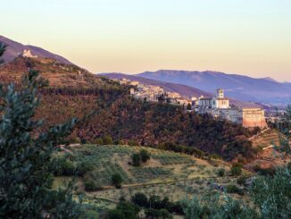 Eventi al Bosco di San Francesco ad Assisi tra Arte e Natura