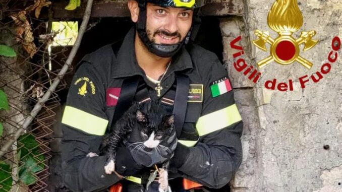 Gattino salvato dai vigili del fuoco da pozzo artesiano a Borgo Trevi