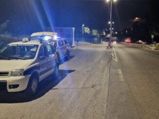 Servizio notturno per prevenire incidenti da fauna selvatica sulle strade provinciali