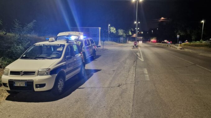 Servizio notturno per prevenire incidenti da fauna selvatica sulle strade provinciali