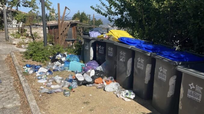 Il paese di Miranda invaso di cinghiali, sparpagliano i rifiuti