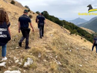 Operazione Transumanza a L'Aquila, pascoli fantasma e truffe all'Ue per 5 mln