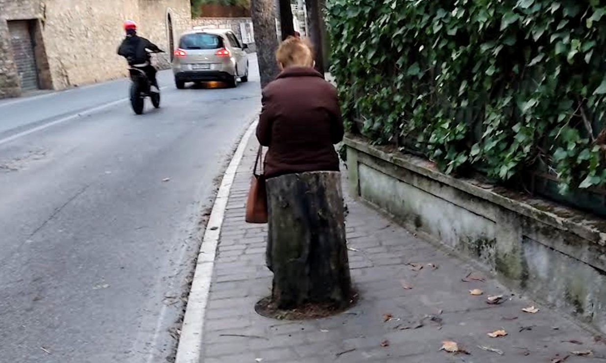 I Viali tre decoro e abbandono architettura vivente rischia estinzione