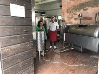 Torta dolce senza ritorno, lotta spreco alimentare su Striscia