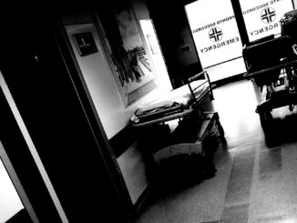 Morta Francesca Fiorini insegnante, forse suicidio, grave il giovane che era con lei